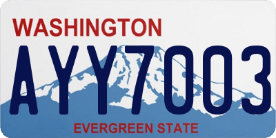 WA license plate AYY7003