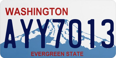 WA license plate AYY7013