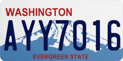 WA license plate AYY7016