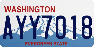 WA license plate AYY7018