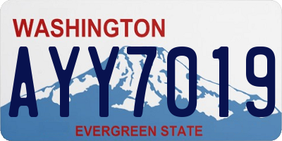 WA license plate AYY7019