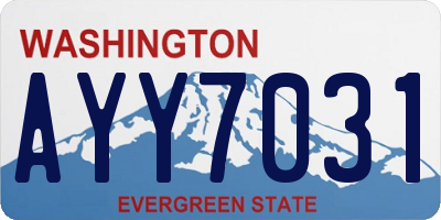 WA license plate AYY7031