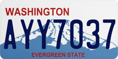 WA license plate AYY7037