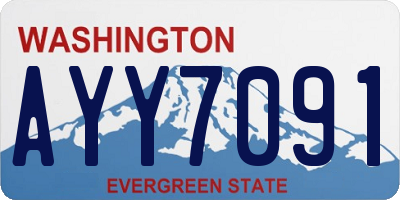 WA license plate AYY7091