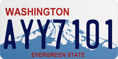 WA license plate AYY7101