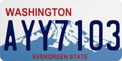 WA license plate AYY7103