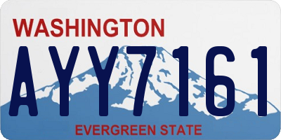 WA license plate AYY7161