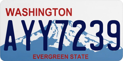 WA license plate AYY7239