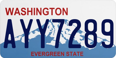 WA license plate AYY7289