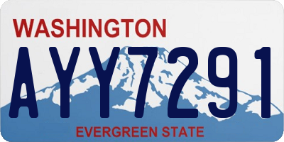 WA license plate AYY7291