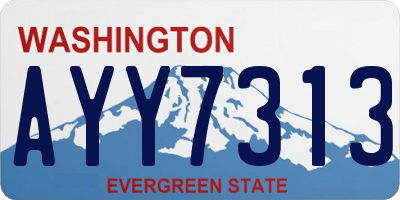 WA license plate AYY7313