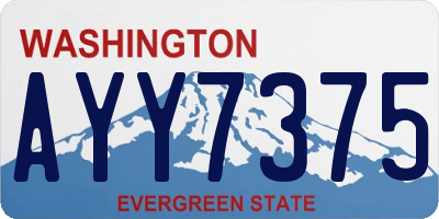 WA license plate AYY7375