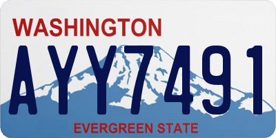 WA license plate AYY7491