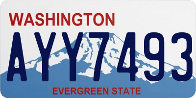 WA license plate AYY7493