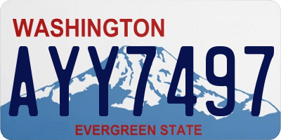 WA license plate AYY7497