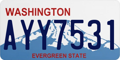 WA license plate AYY7531