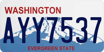 WA license plate AYY7537