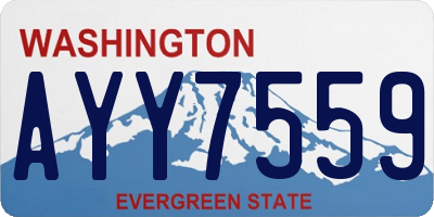 WA license plate AYY7559