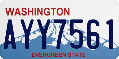 WA license plate AYY7561