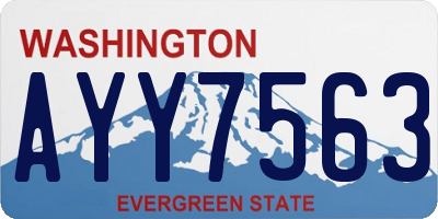 WA license plate AYY7563