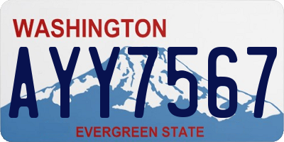 WA license plate AYY7567