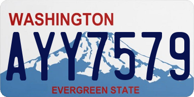 WA license plate AYY7579