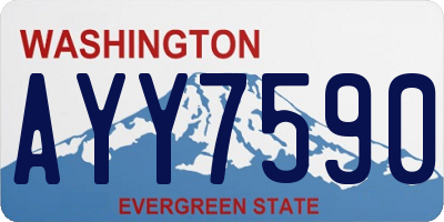 WA license plate AYY7590