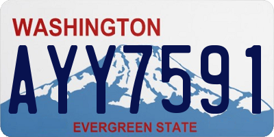 WA license plate AYY7591