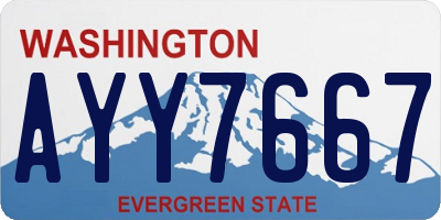 WA license plate AYY7667