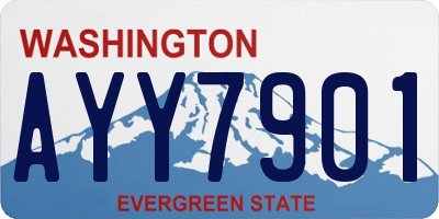 WA license plate AYY7901