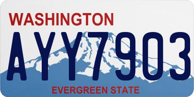 WA license plate AYY7903