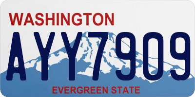 WA license plate AYY7909