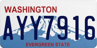 WA license plate AYY7916