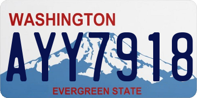 WA license plate AYY7918