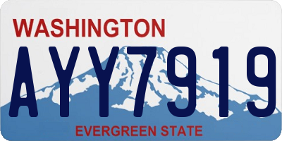 WA license plate AYY7919