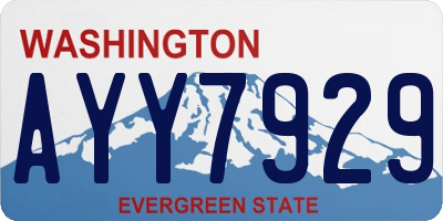 WA license plate AYY7929