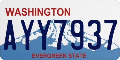 WA license plate AYY7937