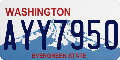 WA license plate AYY7950