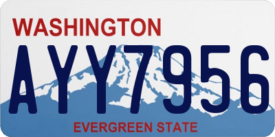 WA license plate AYY7956