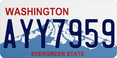 WA license plate AYY7959