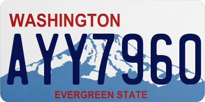 WA license plate AYY7960