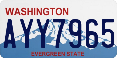 WA license plate AYY7965