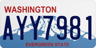 WA license plate AYY7981