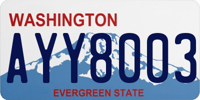 WA license plate AYY8003