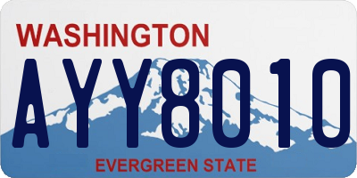 WA license plate AYY8010