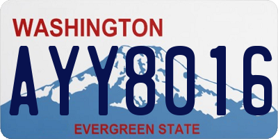 WA license plate AYY8016