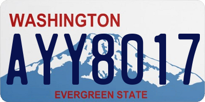 WA license plate AYY8017