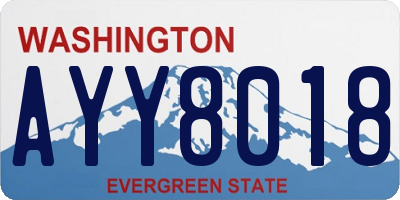 WA license plate AYY8018