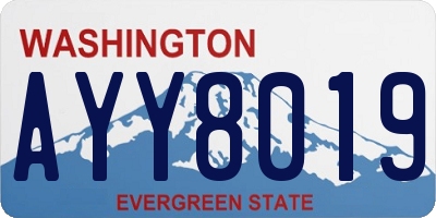 WA license plate AYY8019