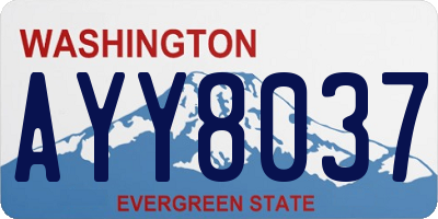 WA license plate AYY8037